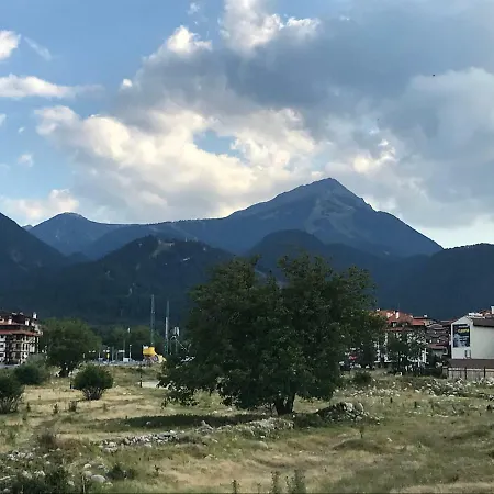 Vista